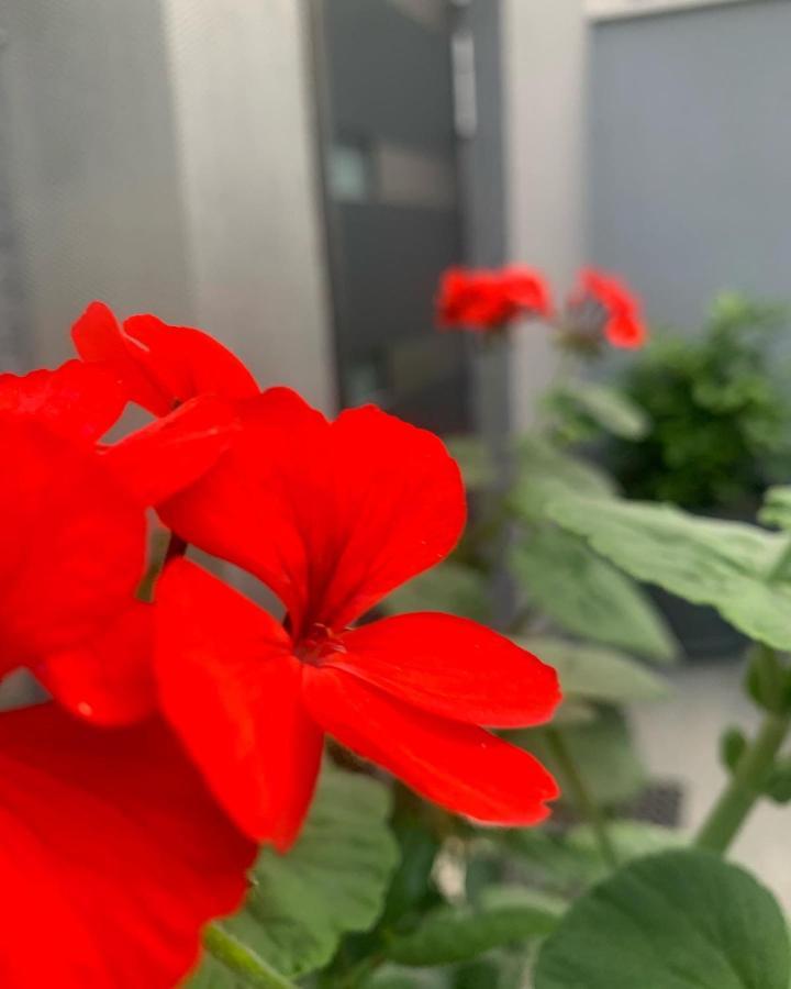 Villa Mare'S 1 Split Ngoại thất bức ảnh